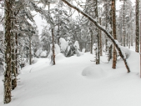 Parc national du Mont-Mégantic - Secteur de l'Observatoire